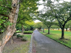 早朝の犀川緑地公園