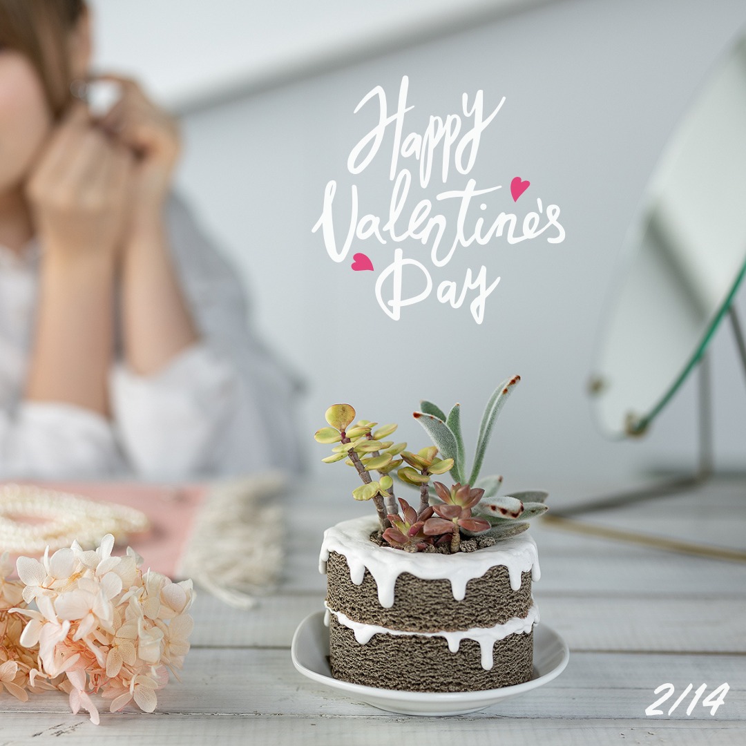 植彩インテリア Buddy イメージ-2