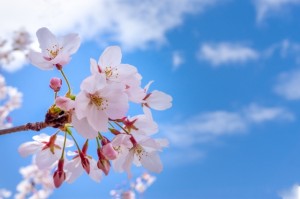 自身の成長