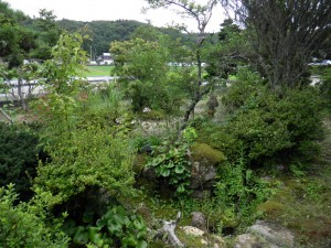 私の近況報告