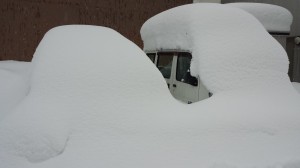 地域に愛され貢献する
