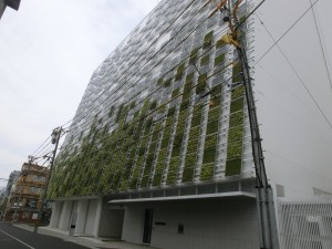 富山西町　壁面緑化