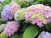 2015.6.25上田①