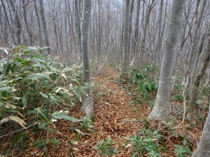 2015.12.05南川
