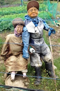 《写真》偕老同穴
