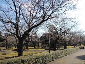会社近くの芦城公園