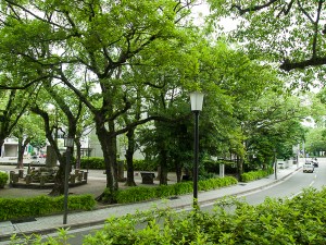 西郷隆盛、従道兄弟　生誕の地