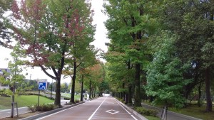 20160926岡本(2)