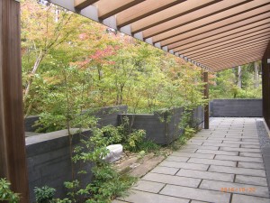 ③
