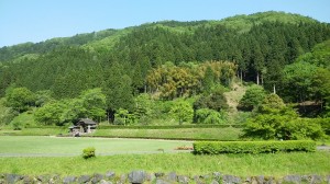 2017.05.25岡本(1)