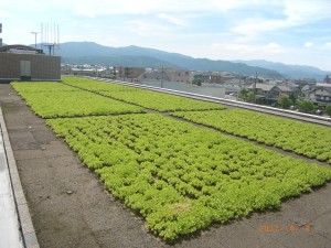 2017.06.22源田２