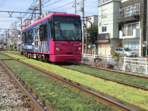 都電荒川線軌道緑化(荒川車庫前停留場付近