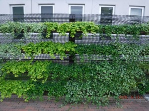 グリーンビズの植栽ユニット