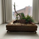 金沢本社階段 （グリーンビズBONSAI)
