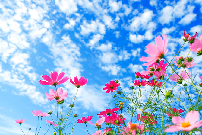トーケンの取り組み