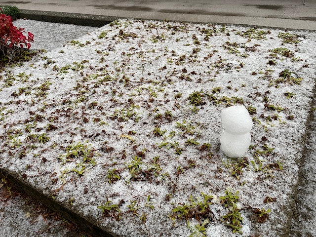 本年の意気込み