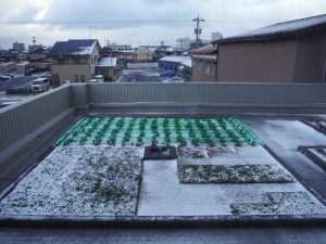 冬を越えて