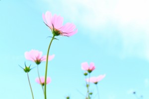 下期に向けて！