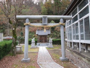 未来永劫