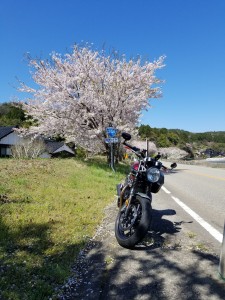 はや一年が過ぎていく