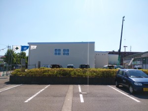 先輩社員となって