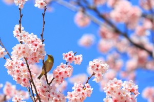 新たなスタート