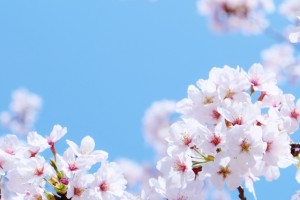 成長