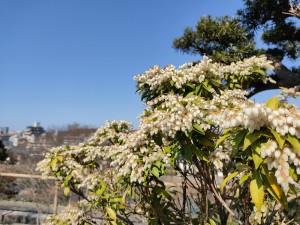 これからの取組み