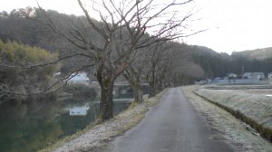 新たなスタートで、まずは？