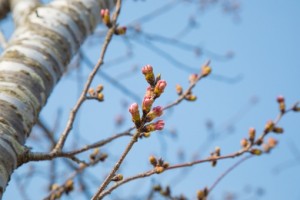 先読みと行動力