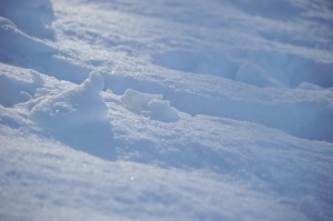 才に増して徳を