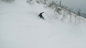 里山活用