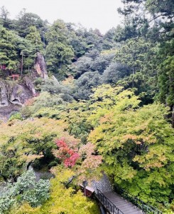 働く環境と充実した日々