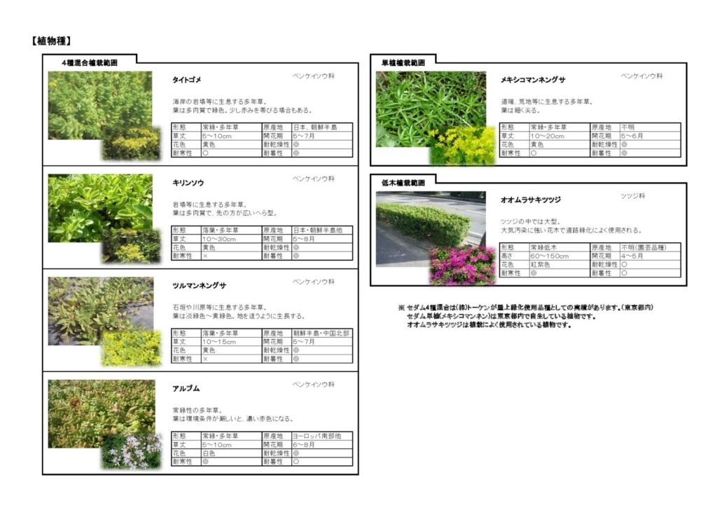 都電荒川線軌道緑化_ページ_05