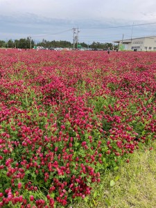 全社総合力発揮のために