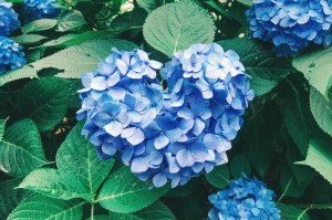 誠実に取り組む