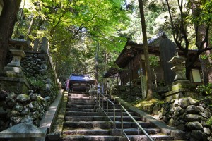 上半期を振り返って